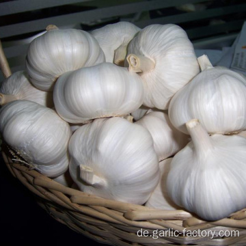 Speziell angepasste kleine Packung Knoblauch